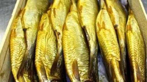 تزامنًا مع شم النسيم.. ”الخدمات البيطري” تنفذ حملات رقابية على محال بيع الأسماك المملحة بالمحافظات