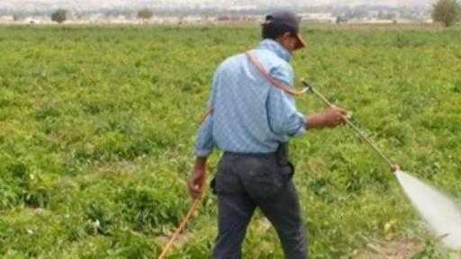 ”الزراعة” تحذر من الترويج لمؤلفات منسوبة للجنة مبيدات الآفات الزراعية