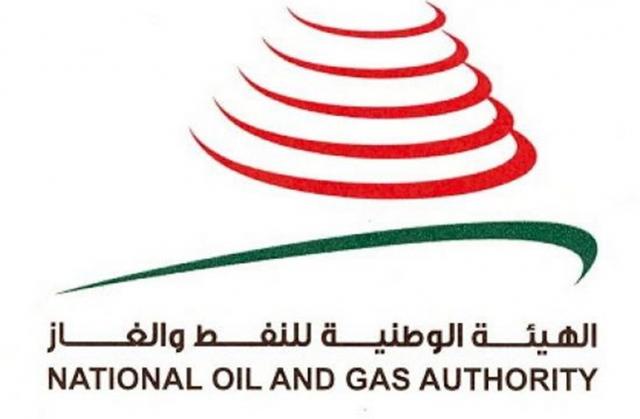 الهيئة الوطنية للنفط والغاز