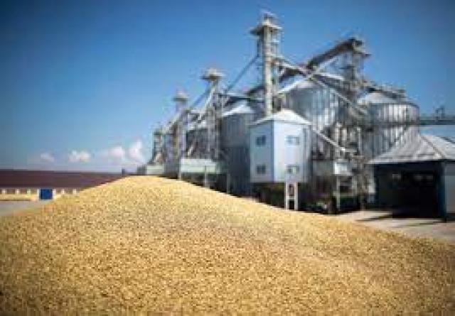 صادرات القمح
