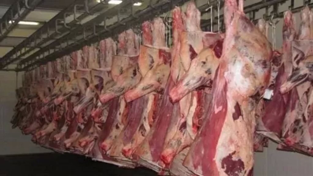 إنتاج الصين من اللحوم