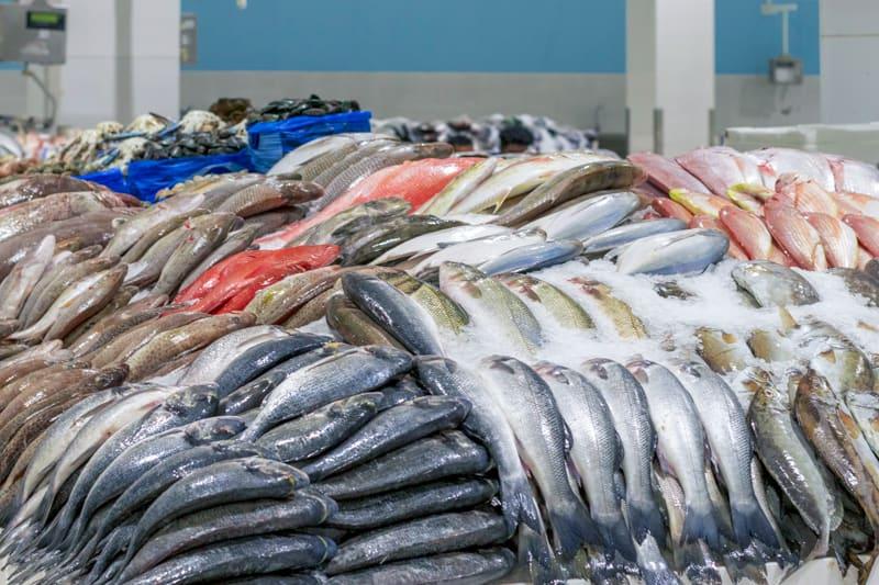 أسعار السمك اليوم الإثنين 9 يناير للجملة