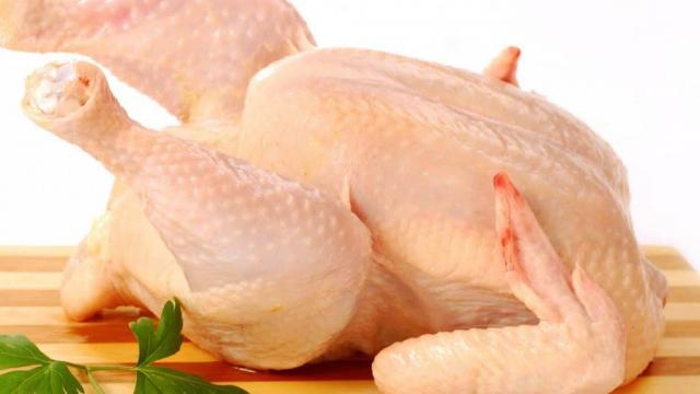 الدواجن