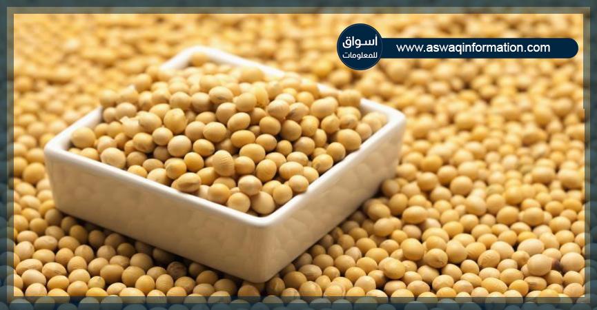 بذور الصويا