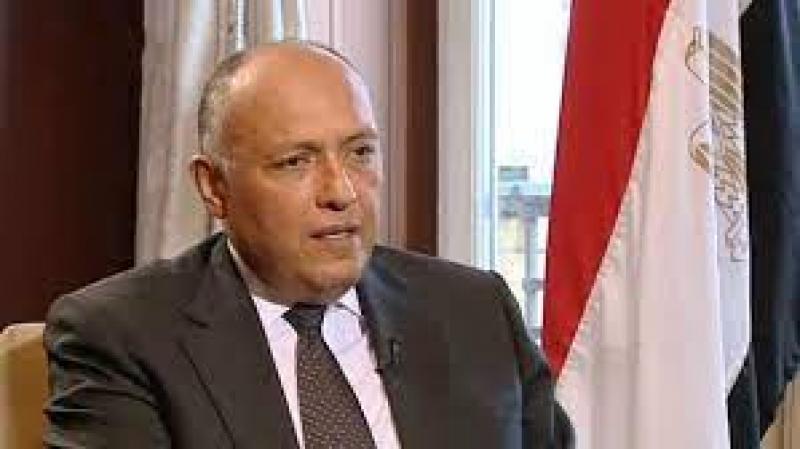 وزير الخارجية يُشيد بالدور المتميز للقطاع الخاص الدنماركي بمصر
