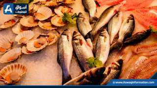 «البوري يناطح الجمبري».. أسعار الأسماك اليوم الجمعة للمستهلك