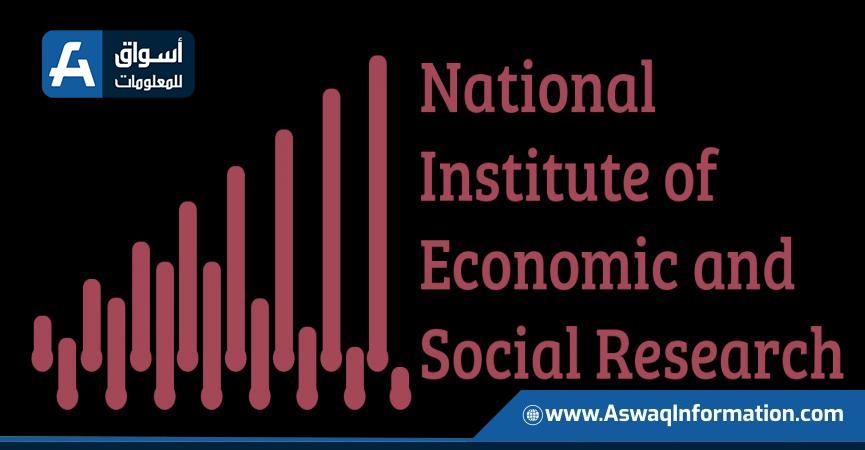 المعهد البريطاني للبحوث الاقتصادية والاجتماعية 