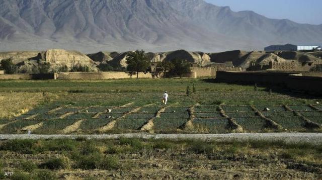 انهيار الزراعة في أفغانستان