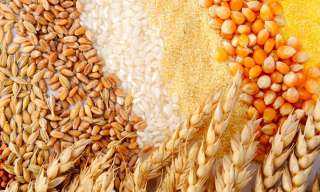 روسيا تستهدف تصدير 50 مليون طن من الحبوب الزراعية خلال 2023