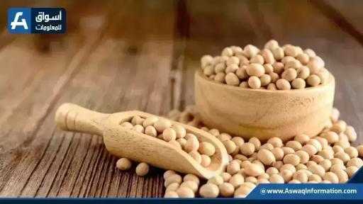 الصين تشتري 840 ألف طن من فول الصويا الأمريكي الصين تشتري 840 ألف طن من فول الصويا الأمريكي