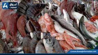 ثبات في أسعار الأسماك اليوم الأحد عند التاجر