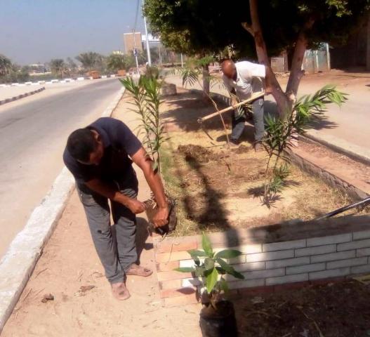 جانب من مبادرة التشجير