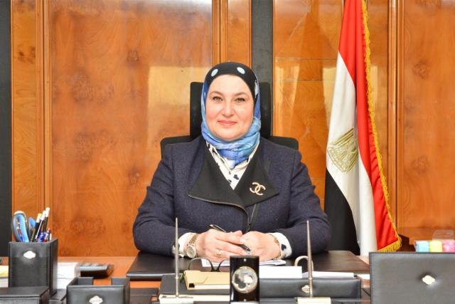 ميرفت سلطان - رئيس مجلس إدارة البنك المصري لتنمية الصادرات