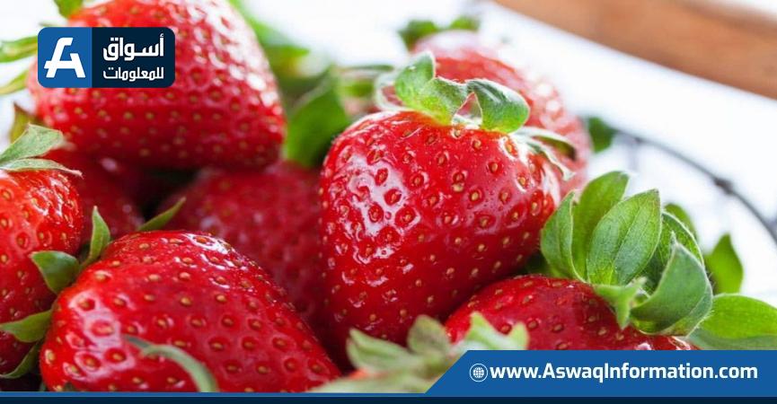صادرات الفراولة