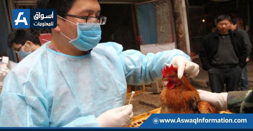 انتشار أنفلونزا الطيور بالولايات المتحدة الأمريكية