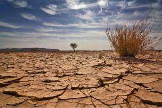 الجفاف يفقد المغرب أكثر من نصف محاصيل الحبوب | إنفوجراف