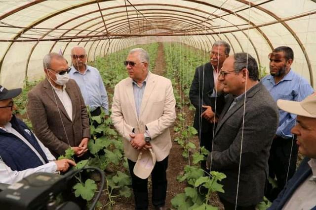 وزير الزراعة يتفقد الصوب الزراعية بمدينة قها