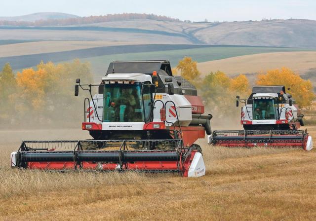 ألمانيا تنشئ جسر لدعم صادرات الحبوب الأوكرانية