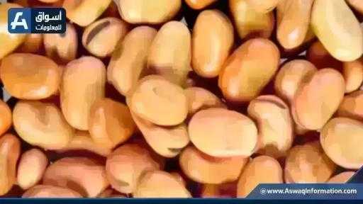 سعر الفول اليوم الأحد عند التاجر.. أردب الفول البلدي بكام سعر الفول اليوم الأحد عند التاجر.. أردب الفول البلدي بكام