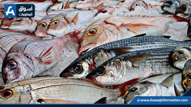 أسعار الأسماك للمستهلك