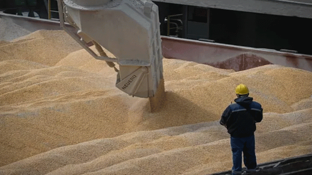 صادرات الحبوب