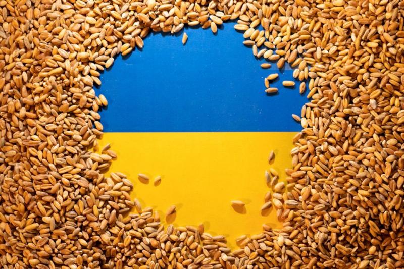 الحبوب الأأوكرانية