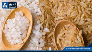 أسعار الأرز الأبيض والشعير للجملة اليوم 29-6-2022.. توقعات بالانخفاض