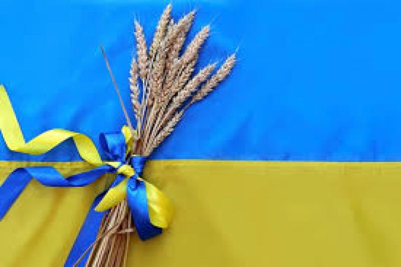 الصادرات الغذائية الأوكرانية