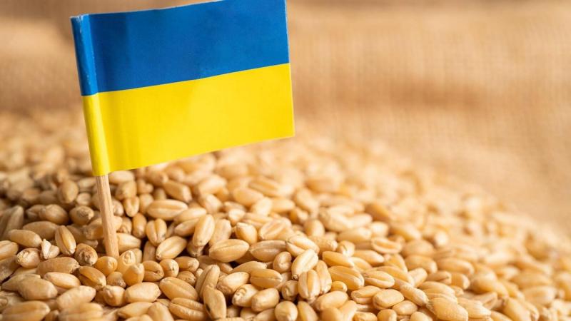 صادرات الحبوب الأوكراينة