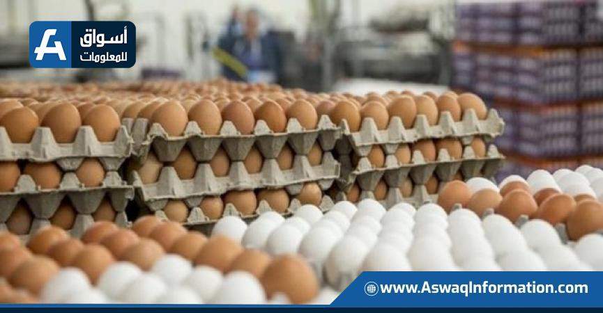 تراجع سعر البيض في البورصة