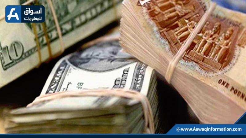 سعر الدولار اليوم