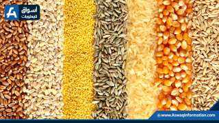 صادرات الحبوب الأوكرانية تصل إلى 2.33 مليون طن