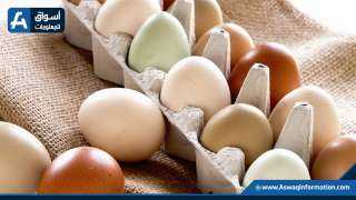 أسعار البيض اليوم السبت بالمزرعة.. كرتونة البيض الأحمر مرتفع