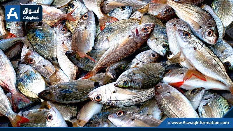 أسعار السمك بسوق العبور