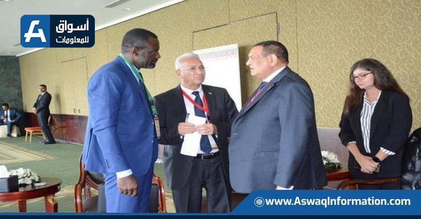 جانب من لقاء وزير التنمية المحلية مع سفير بعثة الاتحاد الأفريقي بالقاهرة
