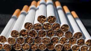 الغرف العربية: 6 آلاف سيجارة متوسط نصيب استهلاك الفرد من السجائر في مصر سنويًا