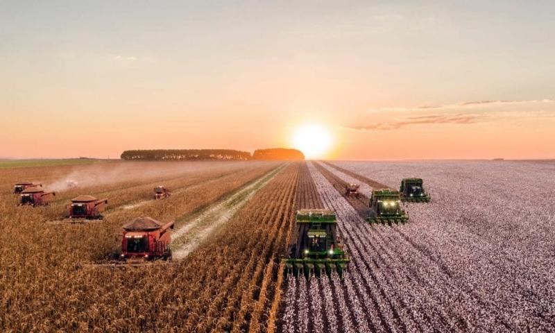 انخفاض المحاصيل في أوكرانيا بنسبة 24٪ على مدار العام