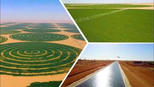 ”الزراعة”: تحديث نظم الري على مساحة 2.8 مليون فدان رفع الإنتاجية 20%