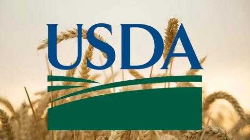 بقيادة الذرة والصويا.. الزراعة الأمريكية تؤكد مبيعات ضخمة للحبوب لموسم 2026/2025