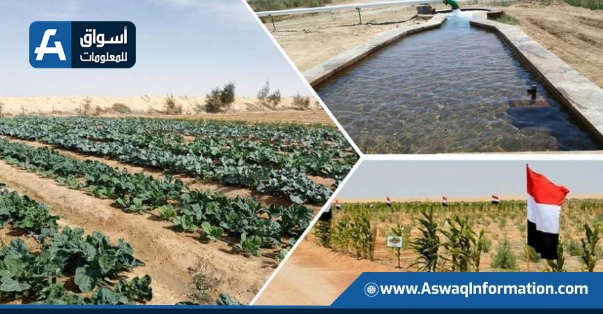المشروع القومي لاستصلاح وزراعة 500 ألف فدان بشمال ووسط سيناء 