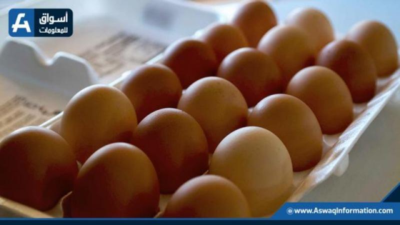 ارتفاع سعر البيض اليوم للمستهلك