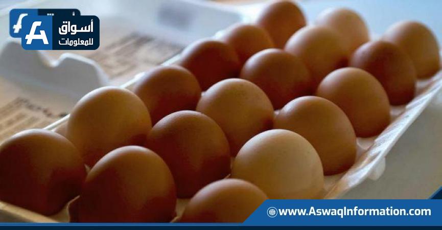 صادرات البيض