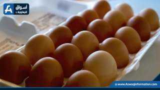 ارتفاع أسعار البيض اليوم الخميس للمستهلك.. «دوخت المواطن»
