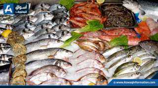 ارتفاع البربون.. أسعار السمك اليوم الأحد بسوق العبور