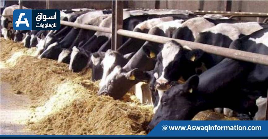 الثروة الحيوانية