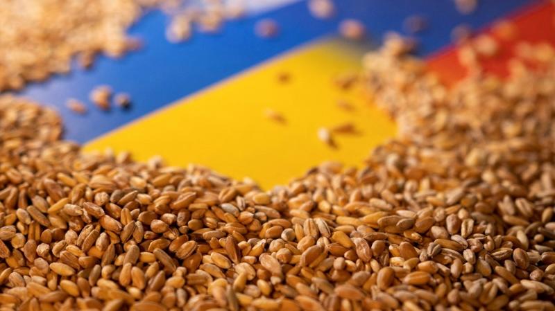 صادرات الحبوب الأوكرانية