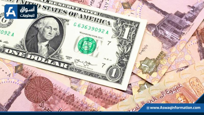 سعر الدولار اليوم