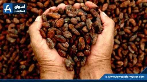 صادرات أوغندا من القهوة ترتفع في مارس رغم تراجع العائدات العالمية