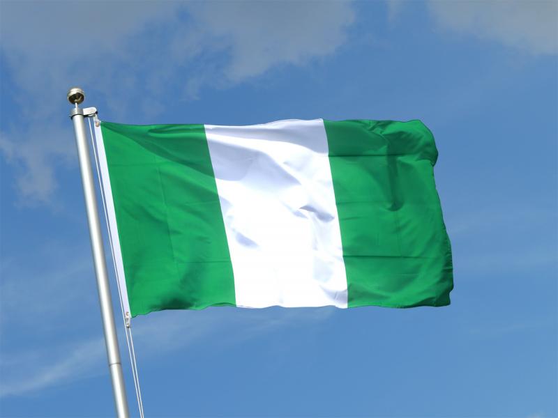العلم النيجيري