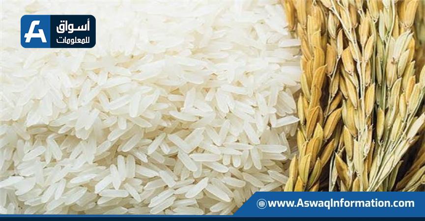 سعر الأرز اليوم